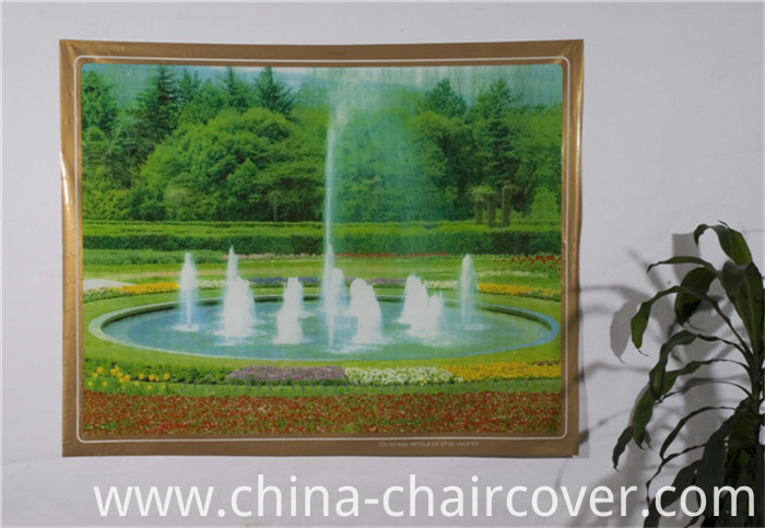 New Independent Design LFGB Transparent Printed Tablecloth 120*152cm (TZ0007)